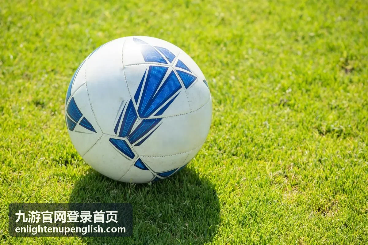 九游官网登录首页手机号登录步骤说明