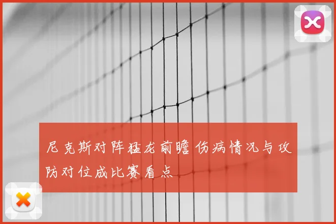 尼克斯对阵猛龙前瞻 伤病情况与攻防对位成比赛看点